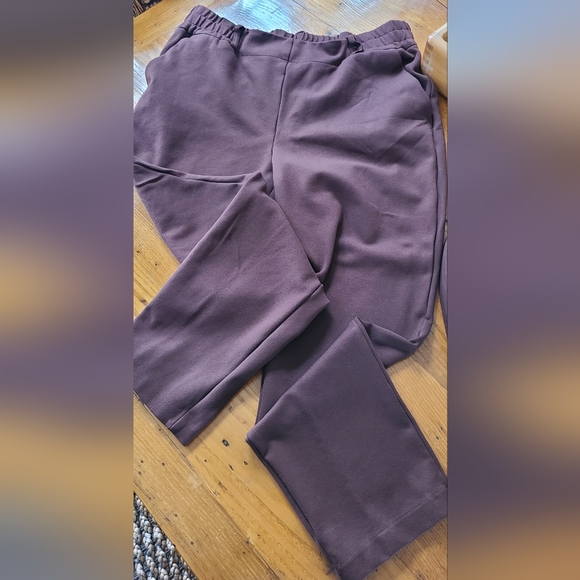 Rachel Zoe brown knit spandex stretch pant elastic waist 8 - Picture 7 of 8